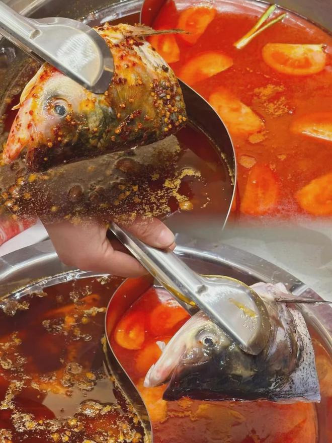 巴蜀谭鱼头西安媒体品鉴会成功举行传承美食文化(图2)