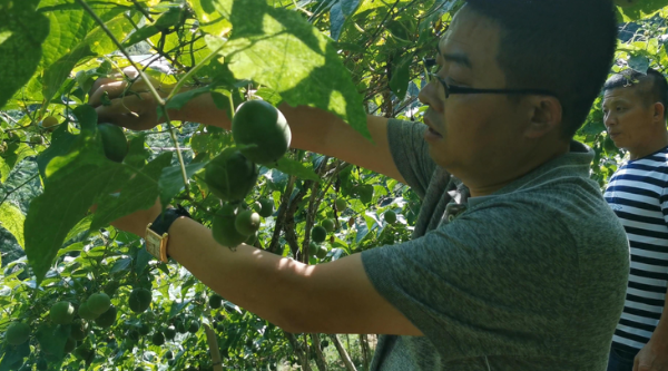 过“双旦”享美食野妹火锅让陪伴更有温度(图4)