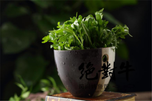 引领时尚放纵激情潮流美食首推绝对牛会飞的火锅(图1)