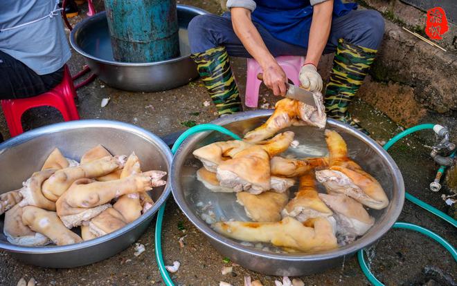 揭阳有个了不起的小镇美食全国闻名门店超过万家看着都诱人(图5)