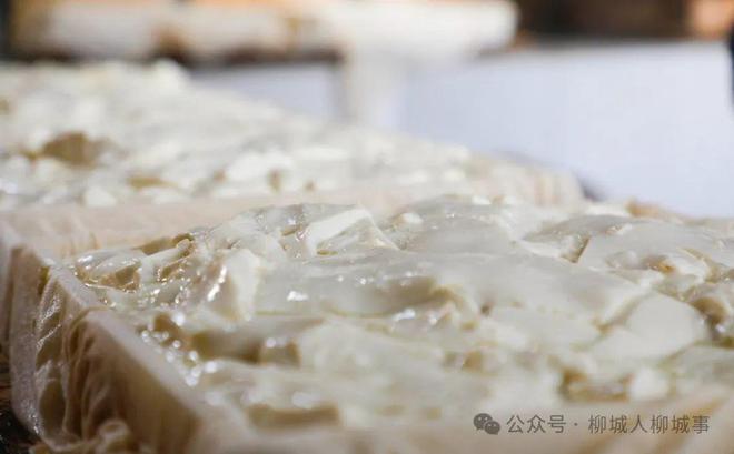柳城豆腐酿在你的美食菜单排第几？(图4)