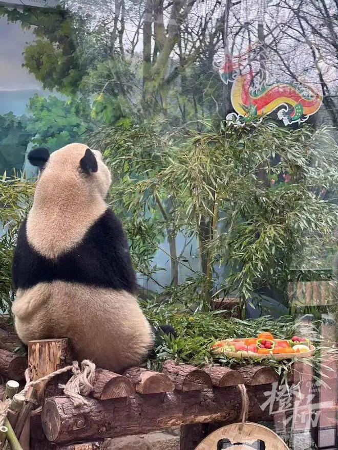 隔壁小孩馋哭了！在杭州的第一个新年春生香果吃上了车厘子草莓“火锅”(图2)