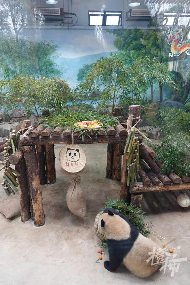 隔壁小孩馋哭了！在杭州的第一个新年春生香果吃上了车厘子草莓“火锅”(图4)