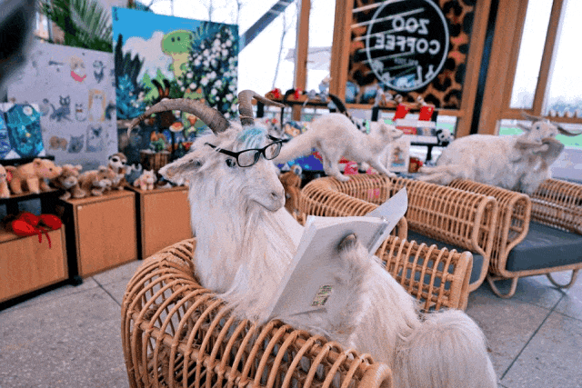 特色美食、精品民宿春节假期来天府农博园游玩不迷路吃住不扑空(图6)