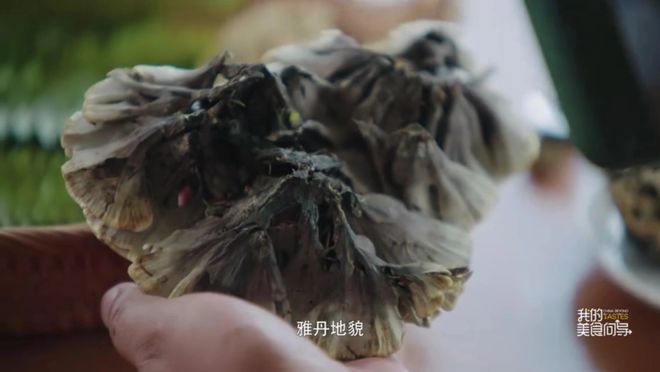 美食纪录片频出陈晓卿团队总能调出新风味(图4)