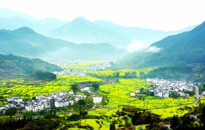 姹紫嫣红中与春天撞个满怀(图6)