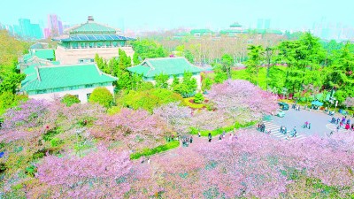 姹紫嫣红中与春天撞个满怀(图2)
