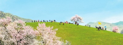 姹紫嫣红中与春天撞个满怀(图3)