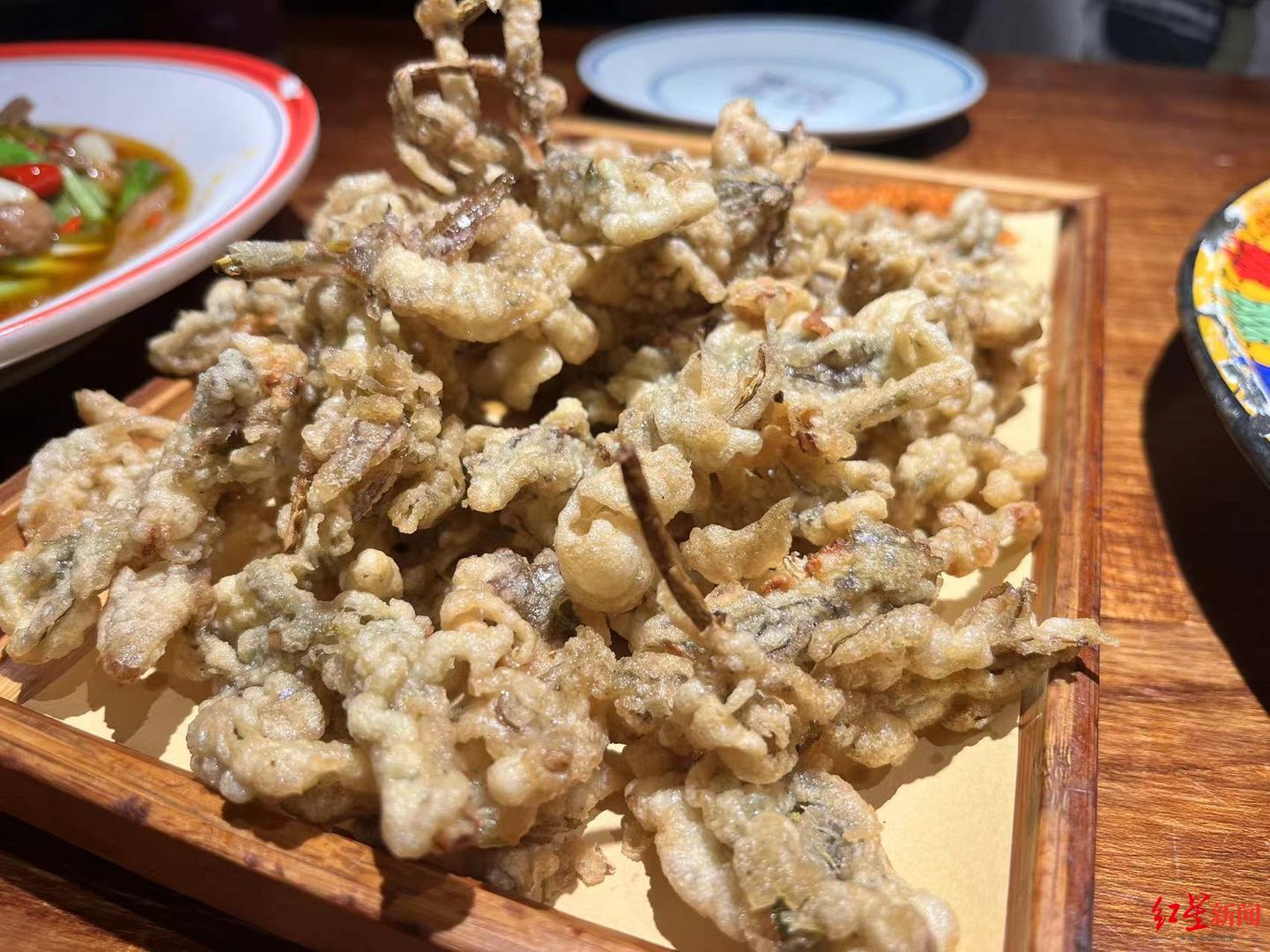 喝一口春茶、吃酥炸香椿、骑绿道赏春……成都“春日经济”火了(图2)