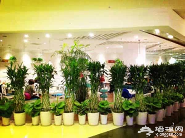 城那些与众不同的时尚创意火锅你吃过吗?(图1) 城那些与众不同的时尚创意火锅你吃过吗?(图1)