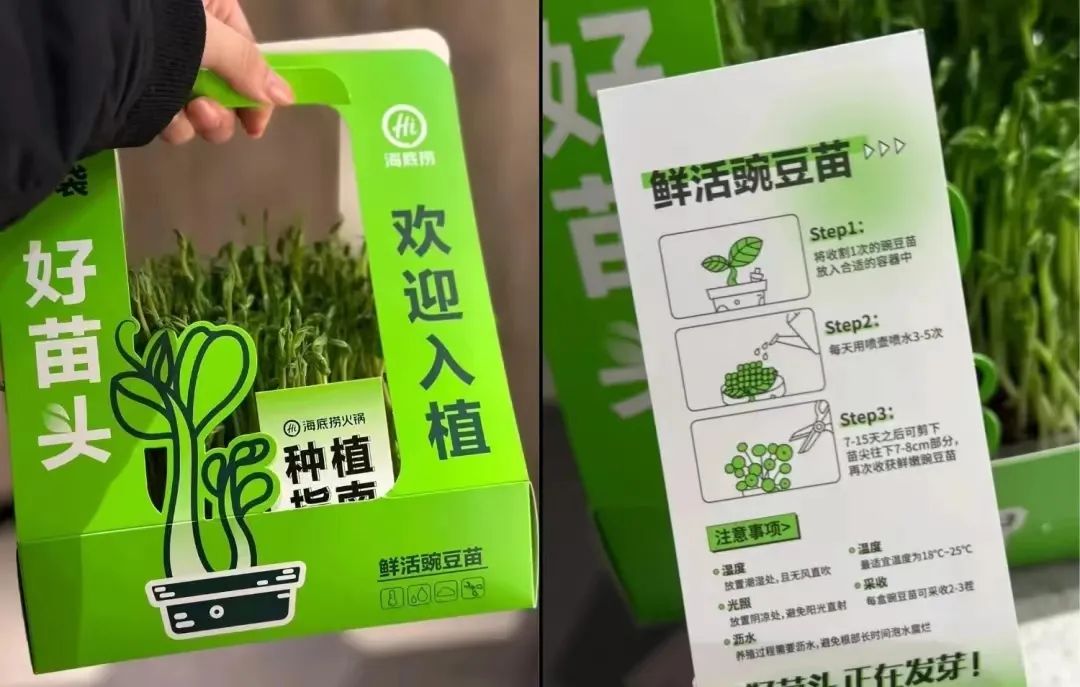 2023火锅“八大爆款菜”盘点!透露明年新品风向!(图13) 2023火锅“八大爆款菜”盘点!透露明年新品风向!(图13)
