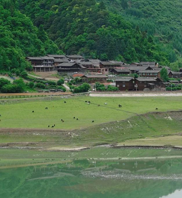 夏游绵阳·清凉暑日 ‖ “夏”一站去平武这个深山里的“阿勒泰”火了！18℃的避暑天堂很清凉(图4)