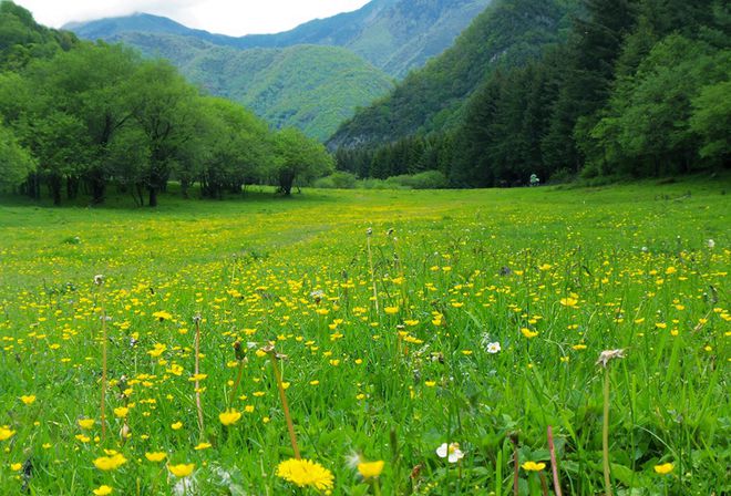 夏游绵阳·清凉暑日 ‖ “夏”一站去平武这个深山里的“阿勒泰”火了！18℃的避暑天堂很清凉(图16)