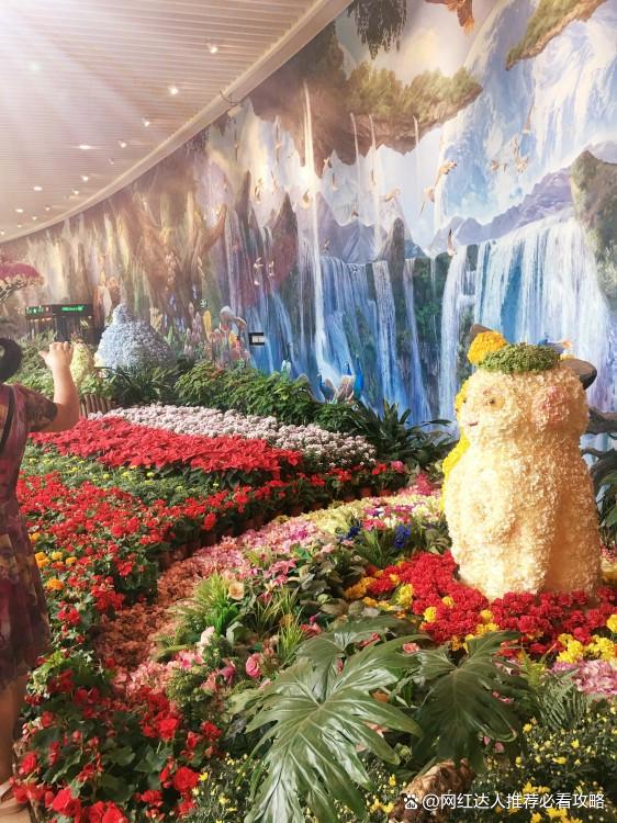 情侣2人去昆明丽江大理六日游多少钱两个人去云南玩6天需要花费(图7)