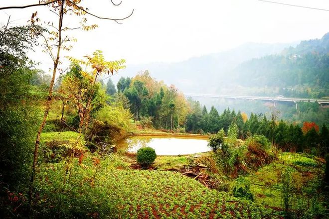 四川旅游7天攻略这里有答案！(图2)