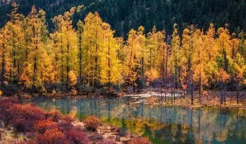 四川旅游7天攻略这里有答案！(图5)