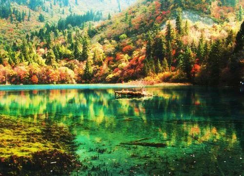 四川旅游7天攻略这里有答案！(图9)