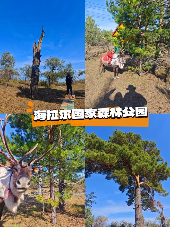 海拉尔旅游攻略必玩景点9月来内蒙旅游尽享美景与风情(图2)