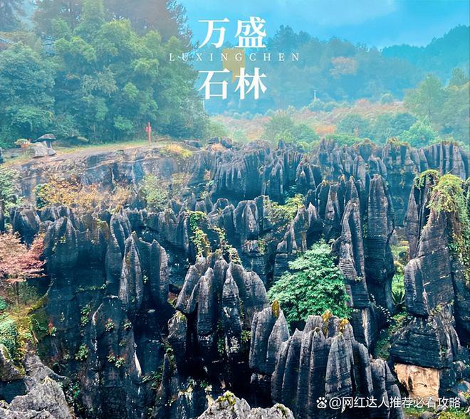 川渝随团六日五晚纯玩自由行去川渝玩几天比较好防踩雷(图2)