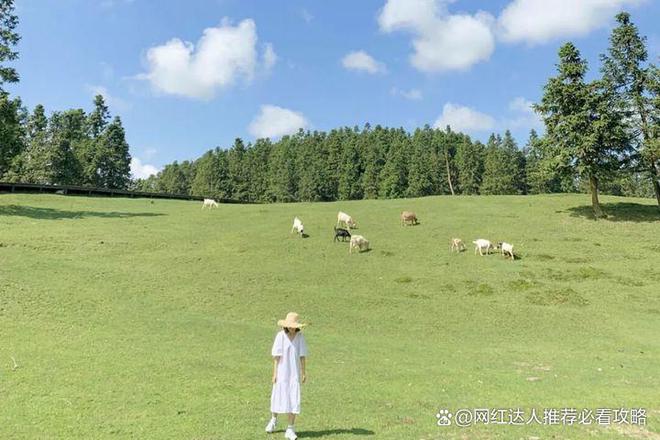 重庆旅游团报价3日游重庆武隆旅行社直播间三天二晚费用多少(图3)