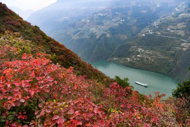 贵州去重庆旅游抱团6日游人均花多少钱？重庆6天行程线路攻略(图2)