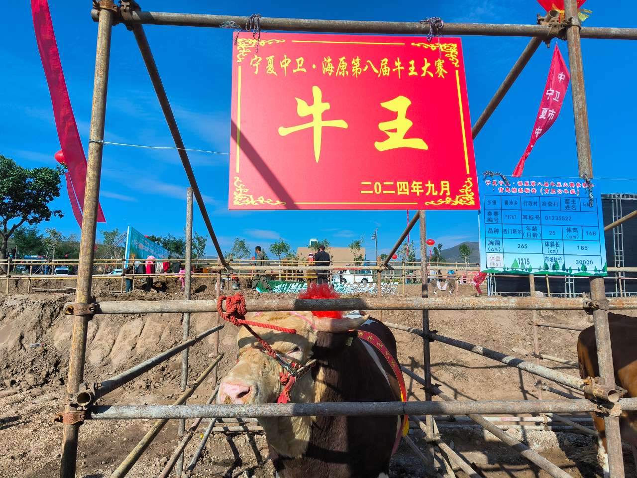 宁夏中卫：特色产业助力乡村越来越“牛”(图2)