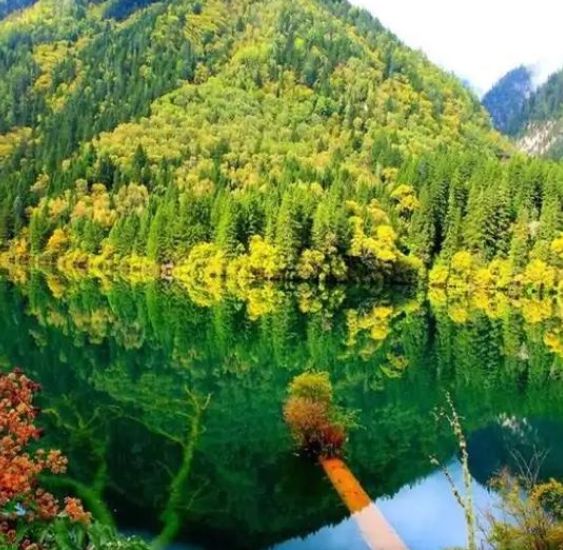 四川五天四晚畅玩攻略 5日游最佳路线 旅游实用指南！(图4)