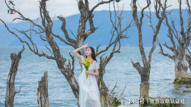 去云南游玩云南景点门票预约攻略了解当地导游多少钱一天(图12)