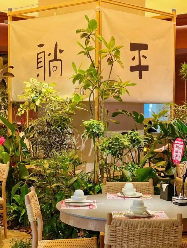 敢挑战川渝火锅霸榜TOP1山野火锅跑“野”了(图11)