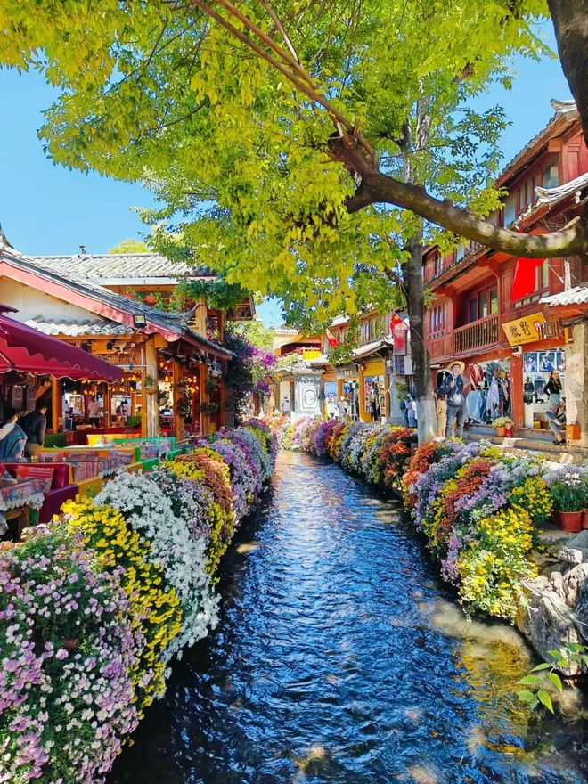 云南旅游5天攻略 云南五日游多少钱？大理丽江昆明游玩攻略(图3)