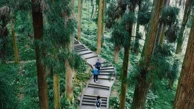 四川旅游最佳路线七天六晚旅游攻略！亲测教程超详细！(图3)