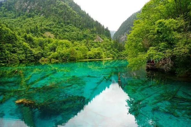 四川旅游最佳路线七天六晚旅游攻略！亲测教程超详细！(图8)