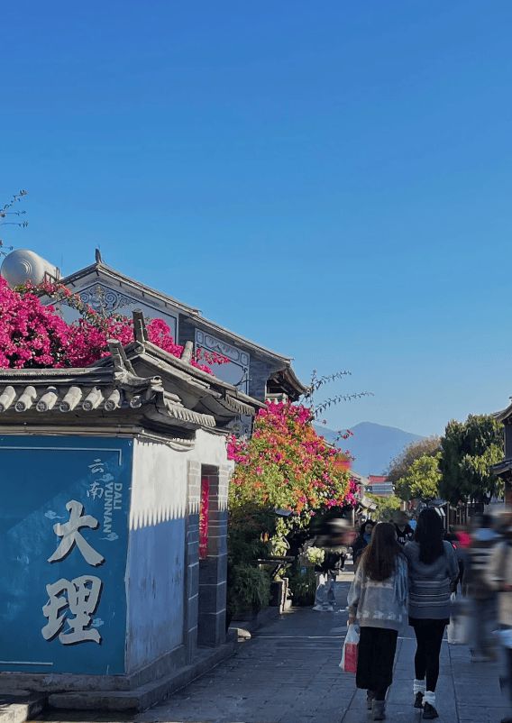 云南旅游攻略5日游云南旅游攻略五日游报团要多少钱美食(图3)