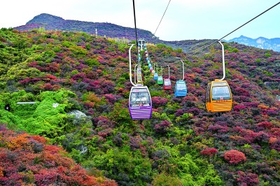 景区焕新：遇见更美好的旅途(图4)