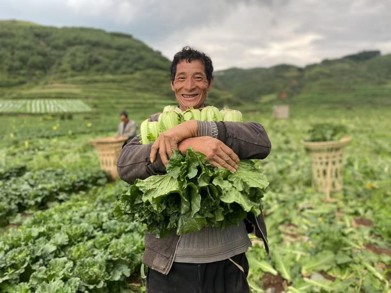 行业洞察丨火锅新宠、茶饮领“鲜” 绿叶菜也搞消费升级？(图4)