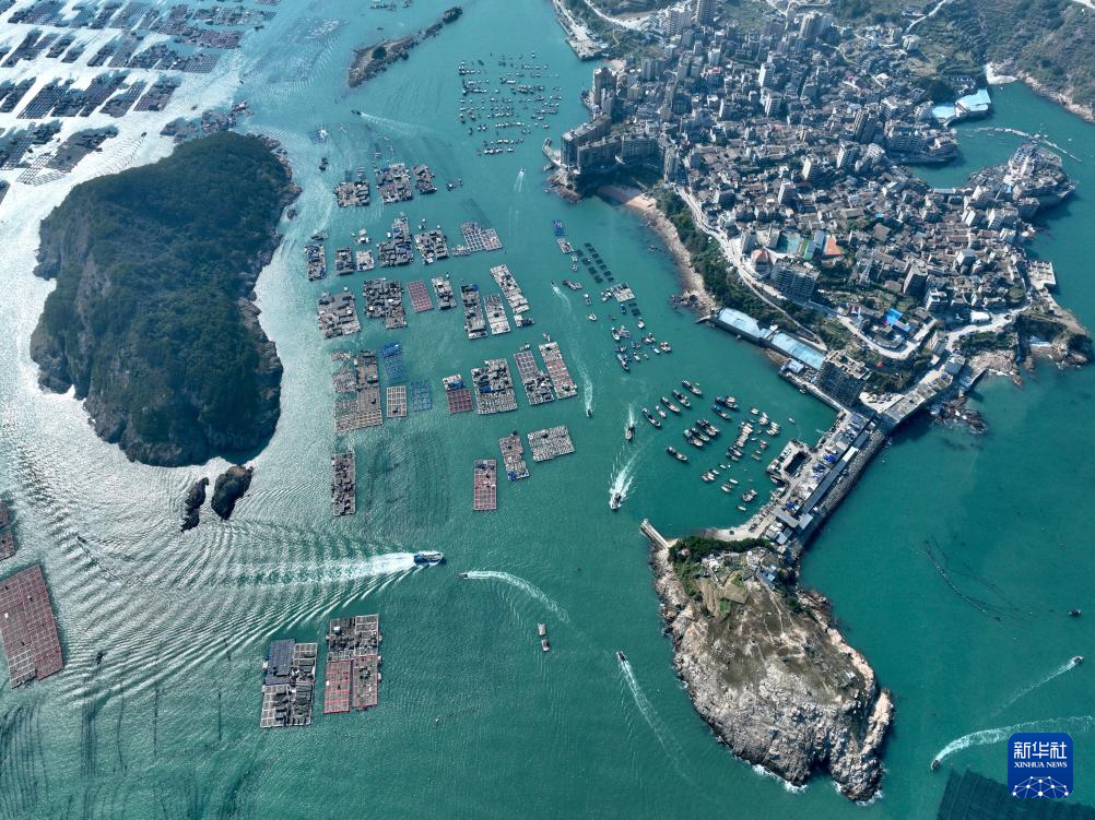 中国经济样本观察·县域样本篇丨这座福建小城：春节期间每天向市场提供约600吨鲍鱼(图2)