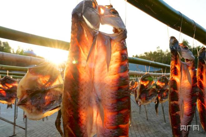 瞰江西！腊味香飘客家年味浓(图1)