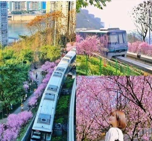 重庆3天2晚旅游最佳攻略这篇省钱攻略一定要看(图5)
