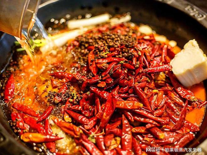 火锅底料生产过程中蒸汽发生器有哪些作用？(图1)
