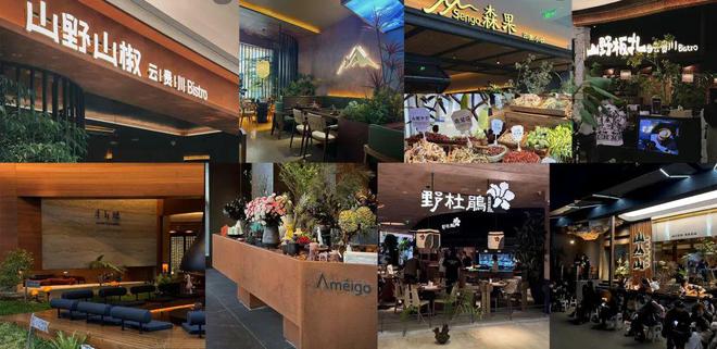 地方菜新王“登基”？！云贵菜在北上广“杀疯了” ……(图4)