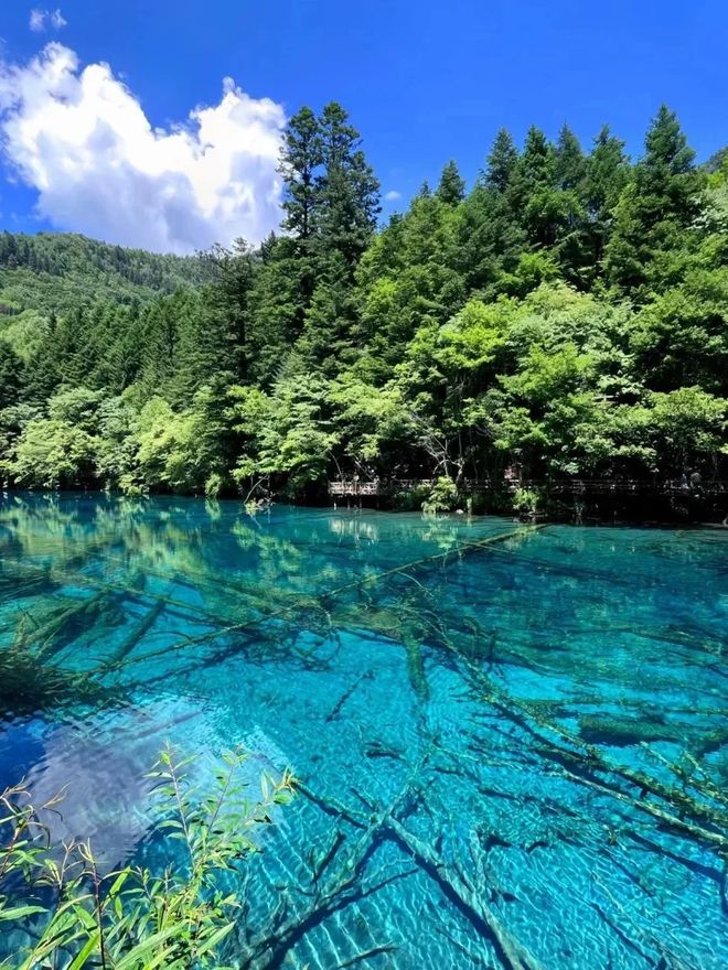 3月份四川成都九寨沟六日游3月份四川成都九寨沟六日游攻略指南!(图1)