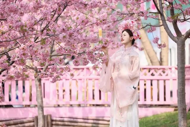 成都周边4条赏花线路地铁直达花海！大多都免费的哦！(图16)