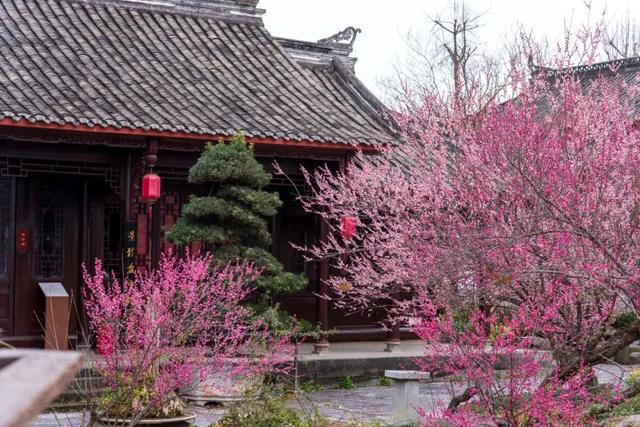 成都周边4条赏花线路地铁直达花海！大多都免费的哦！(图2)