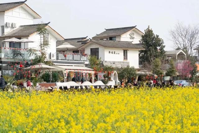 成都周边4条赏花线路地铁直达花海！大多都免费的哦！(图24)