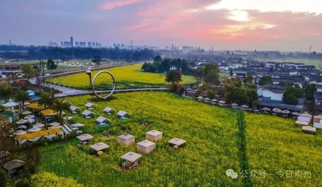 成都周边4条赏花线路地铁直达花海！大多都免费的哦！(图23)