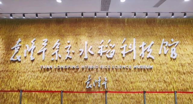成都周边4条赏花线路地铁直达花海！大多都免费的哦！(图32)