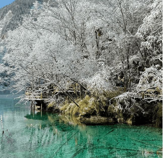 四川六天五晚旅游保姆级攻略四川旅游必逛景点+特色美食全分享(图2)