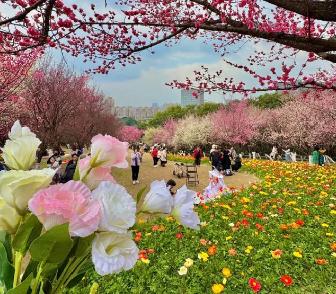带父母去四川5日游保姆级攻略安排四川5日游必打卡景点有哪些？(图1)