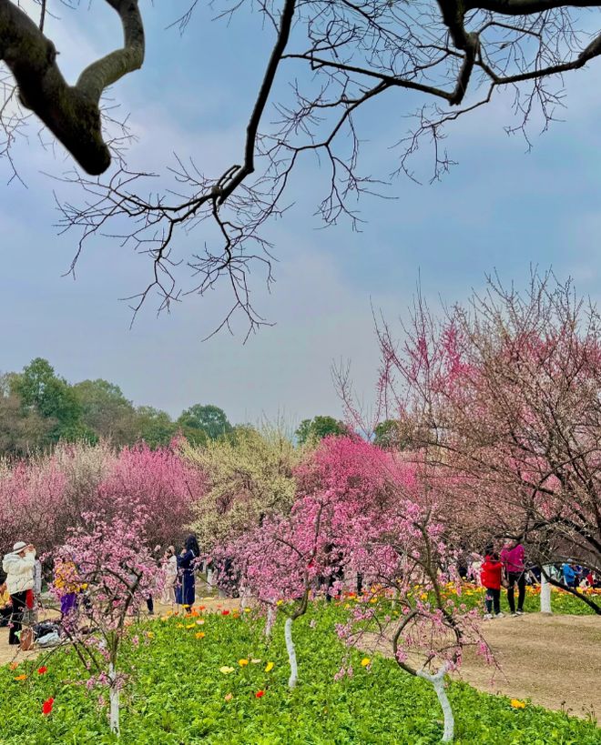 带父母去四川5日游保姆级攻略安排四川5日游必打卡景点有哪些？(图3)