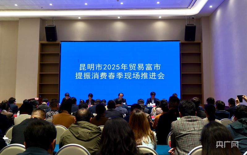 昆明打好提振消费“组合拳”释放消费新活力(图1)